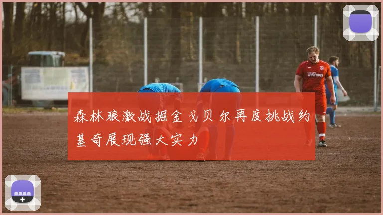 森林狼激战掘金戈贝尔再度挑战约基奇展现强大实力