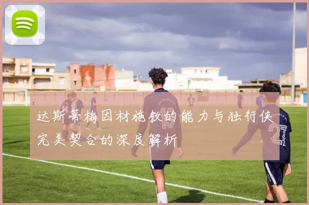 达斯蒂梅因材施教的能力与独行侠完美契合的深度解析